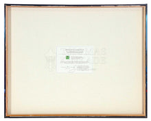 Load image into Gallery viewer, The Book of Boba Fett - A New Beginning - 10" x 14" Gallery Wrapped Canvas - Art Of Entertainment