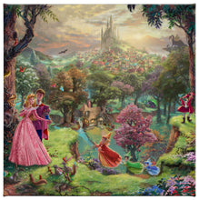 Load image into Gallery viewer, Gallery Wrapped Canvas Sleeping Beauty