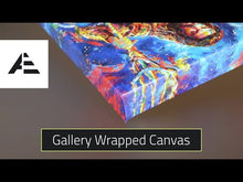 Load and play video in Gallery viewer, Harley Quinn™ - Gallery Wrapped Canvas