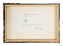 Load image into Gallery viewer, &lt;em&gt;The Mandalorian&lt;/em&gt;™ - A Force Within - 10&quot; x 14&quot; Gallery Wrapped Canvas
