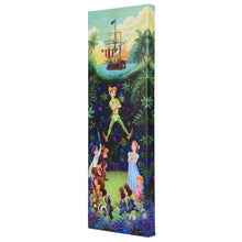 Load image into Gallery viewer, The Hero of Neverland - 24&quot; x 8&quot; Limited Edition Gallery Wrapped Canvas - Art Of Entertainment
