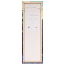 Load image into Gallery viewer, The Hero of Neverland - 24&quot; x 8&quot; Limited Edition Gallery Wrapped Canvas - Art Of Entertainment
