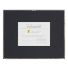 Load image into Gallery viewer, Disney Mickey and Minnie in Florida - Standard Art Prints - Art Of Entertainment
