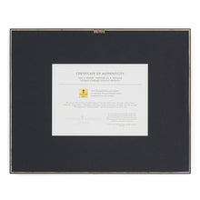 Load image into Gallery viewer, On the Run - Standard Art Print
