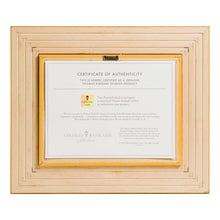 Load image into Gallery viewer, Disney Frozen - Brushworks
